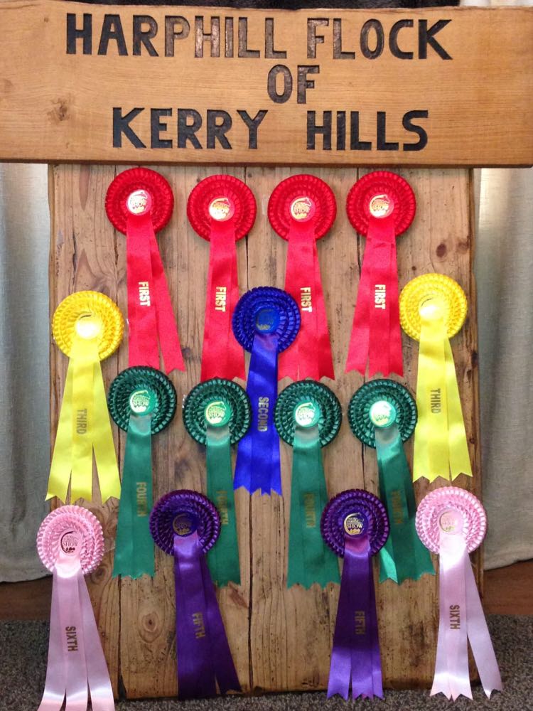 Prizes new Forest show