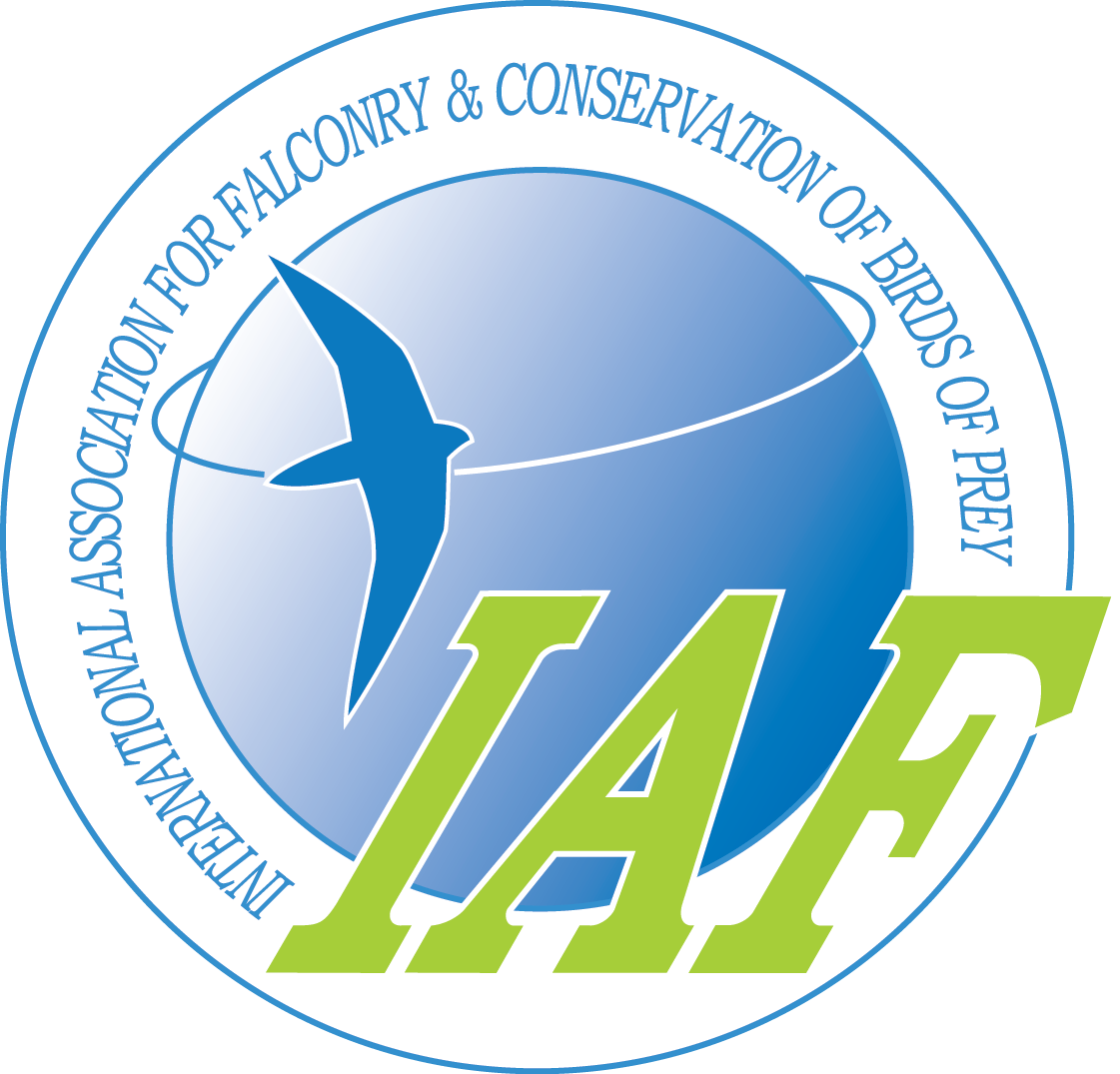 Logo IAF Logo IAF