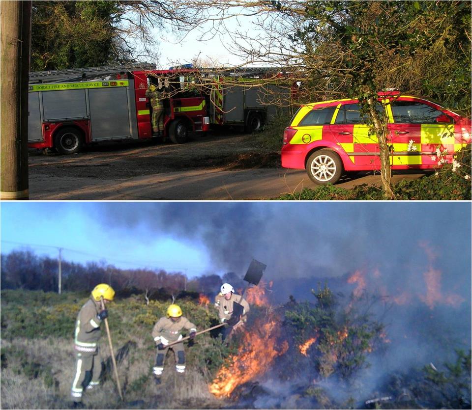 Stoborough Heath fire, 2 March 2013