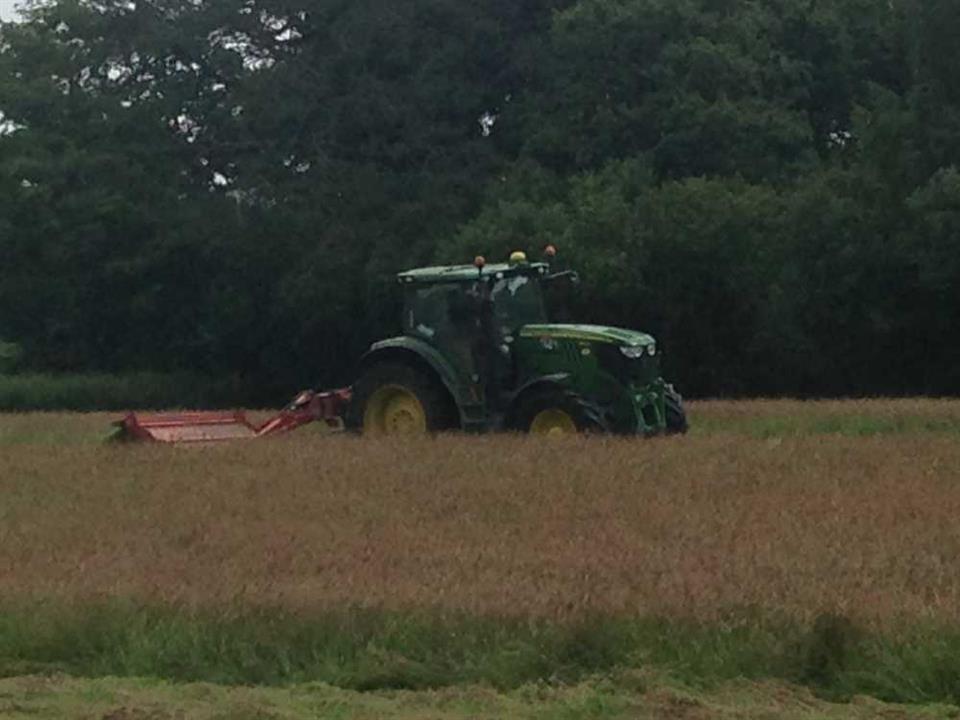 Cutting for Hay!