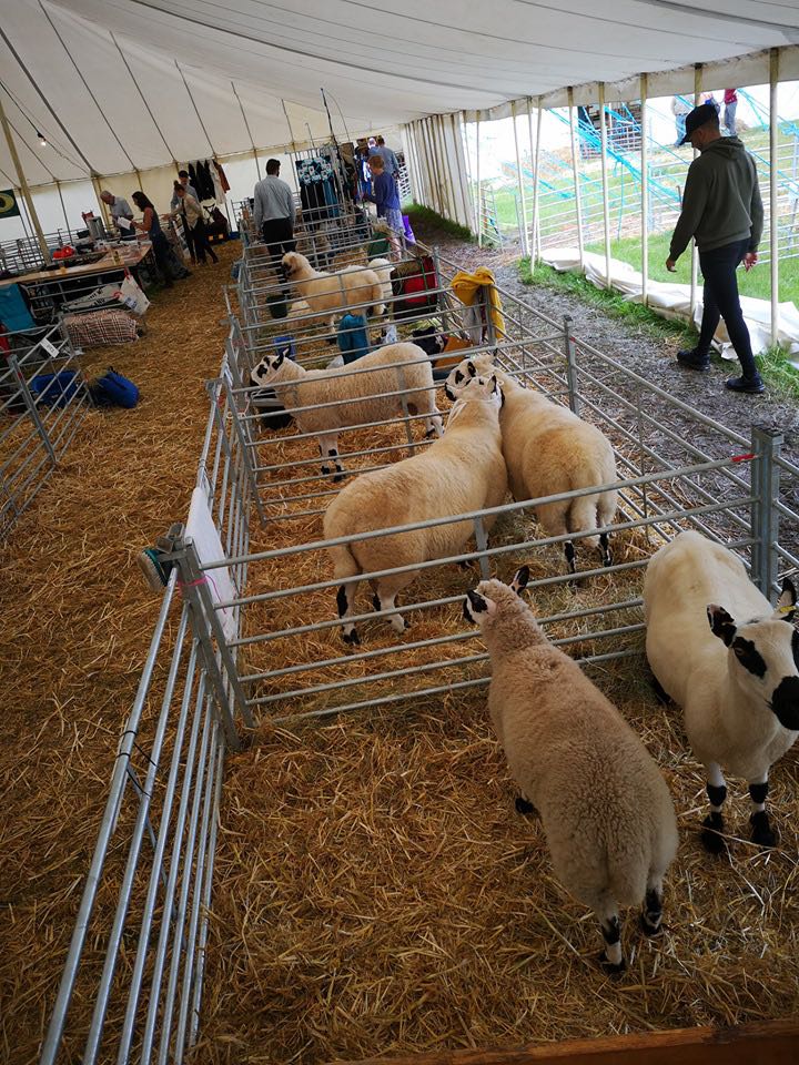 new forest show 2019