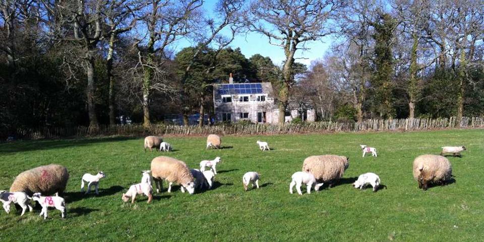 Tanglewood Farmhouse