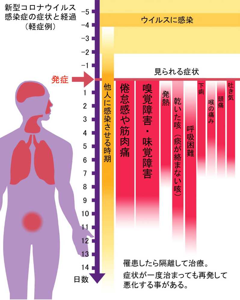 COVID-19の症状