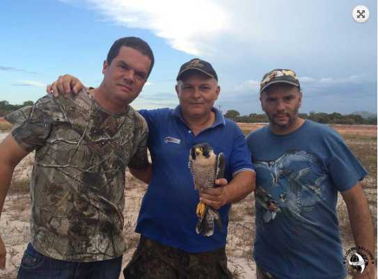 Foto: Global Falcons