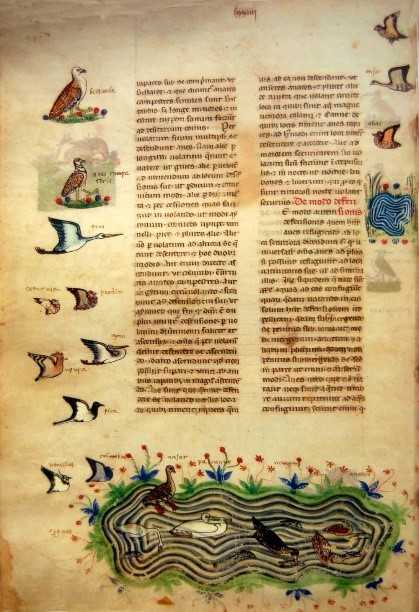 Fragmento del libro 
