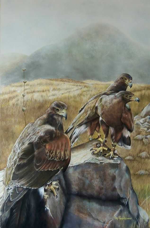Los Harris de Comando Harris. Pintura al pastel de Marisol Pacchiano