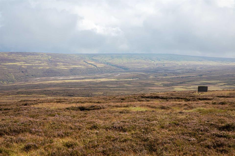 An image kindly provided by the Peak District Moorland Group