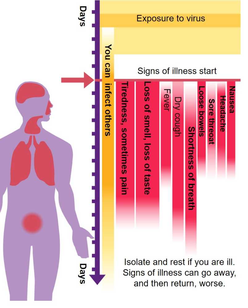 Symptoms for COVID-19, by Chris Heward from Kenyan government concepts