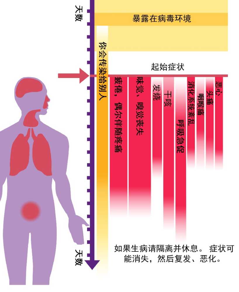 新冠病毒感染症状，克里斯·海沃德（Chris Heward），肯尼亚政府