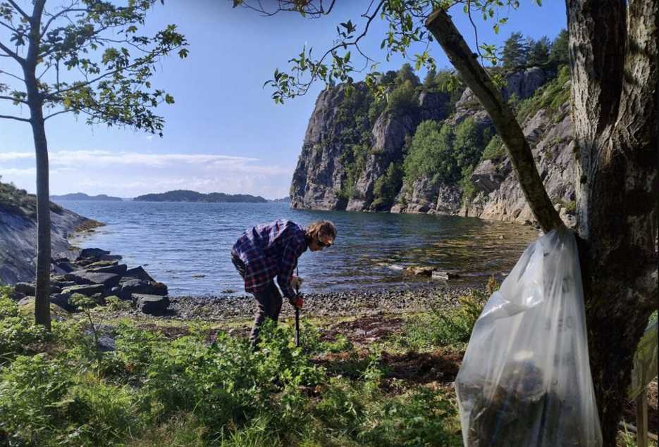 A Pro-Coast volunteer collecting plastic rubbish and clearing invasive species at Eidsvika © 2025 David Herbert