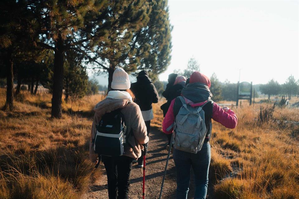 Descripción: Un grupo de excursionistas explora un sendero forestal.