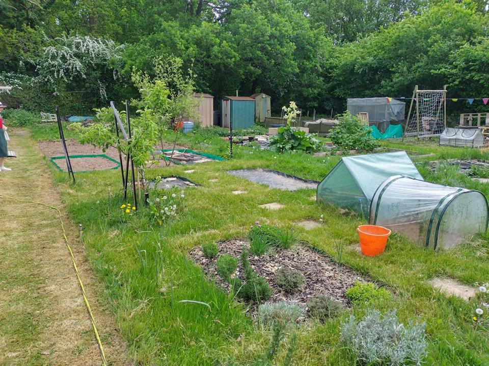 Allotment